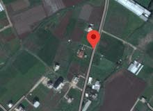 Residential Land for Sale in Jenin Other