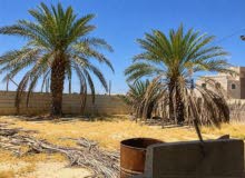 Residential Land for Sale in Jericho Downtown