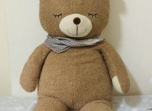 Big size cuddle Bear for kids Big size cuddle Bear for kids