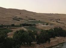 ارض للبيع في المسرة العالوك بسعر مميز من المالك مباشرة ارض للبيع في المسرة العالوك بسعر مميز من المالك مباشرة