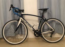 specialized road bike for sale