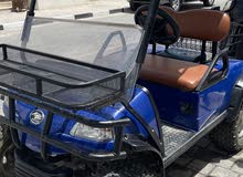 Powerful electric Golf cart