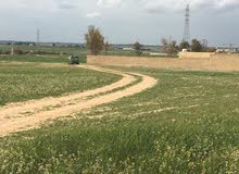 دونم ارض للبيع في طريق المطار منطقة زويزا من المالك المباشرة دونم ارض للبيع في طريق المطار منطقة زويزا من المالك المباشرة