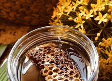 يوجد لدينا.. عسل جبلي، عسل سدر، عسل حمضيات يوجد لدينا.. عسل جبلي، عسل سدر، عسل حمضيات