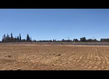 ارض سكن خاص مساحة واسعه (1271 م)  منطقة فلل وقصور ملاصقة لفلل الاندلسية _ جنوب عمان _شارع مادبا