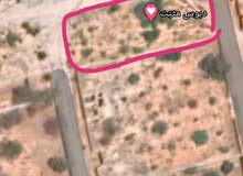750م في بئر العالم 750م في بئر العالم
