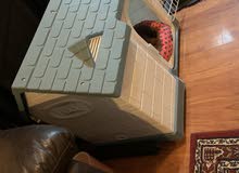 cat home cat home