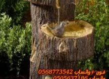 أفران وشوايات ونوافير .بناء .العين0562558820 أفران وشوايات ونوافير .بناء .العين0562558820