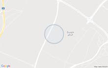 مطلوب ارضين الدقم ظهر 2 والدفع كاش مطلوب ارضين الدقم ظهر 2 والدفع كاش