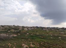 Farm Land for Sale in Jerash Marsa'