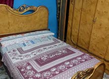 شقه ايجار شقه ايجار