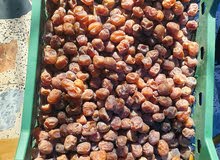تمر برحي البصرة الكيلو ب 3000 تمر برحي البصرة الكيلو ب 3000