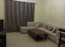 apartment for rent closet to the oaisis mall apartment for rent closet to the oaisis mall