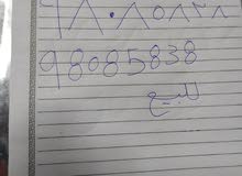 رقم مميز للبيع عمان تل رقم مميز للبيع عمان تل