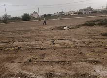 Mixed Use Land for Sale in Jericho Palestine St.