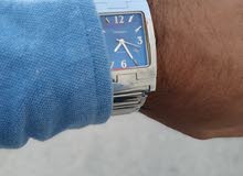 Beautiful fossil Arctict Beautiful fossil Arctict
