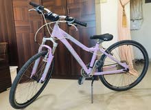 Giant bike big Giant bike big