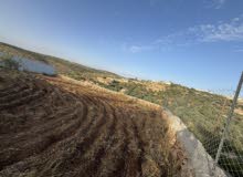 Mixed Use Land for Sale in Qalqilya Kafr Laqif
