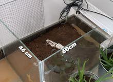 Aquarium for sale Aquarium for sale