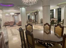 Furnished Daily in Giza Sheikh Zayed