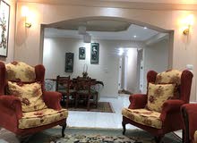 شقه مفروش لايجار اليومي او الشهري في جامعه الدول العربيه شقه مفروش لايجار اليومي او الشهري في جامعه الدول العربيه