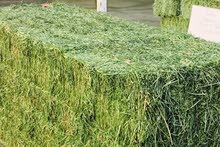 Hayland fodder trading Hayland fodder trading