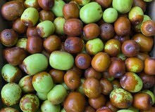 ثمار الاغذيه ثمار الاغذيه