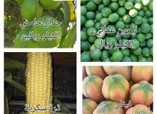 خضار مشكله للبيع خضار مشكله للبيع