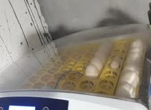 incubator 56 egg machine