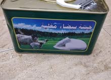 جبنه غنم مغليه في القزخه ولمستكه ولمحلب مكفوله جبنه غنم مغليه في القزخه ولمستكه ولمحلب مكفوله