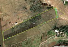 Farm Land for Sale in Irbid Natifa