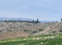 Residential Land for Sale in Amman Badr Jdedeh