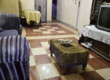 for rent apartments en hadayk elmaade not maade with water free and net and gas all free