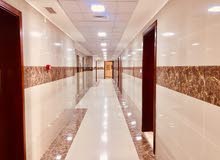 We have 2 bead room for rent ibtkar Tower 2 new building We have 2 bead room for rent ibtkar Tower 2 new building