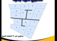 ارض للبيع ضمن مشروع 17قطعة جرش عنيبه 3500متر بقوشان مستقل واص الخدمات كامله اطلاله بنوراما مميزه جدا