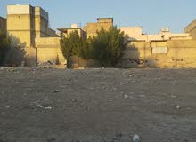 Farm Land for Sale in Baghdad Ali Saleh