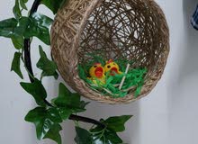 hanging birds nest hanging birds nest