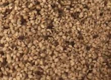 سمسم بالطن البيع سمسم بالطن البيع