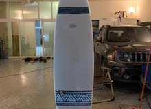Surfboard with surfboard cover