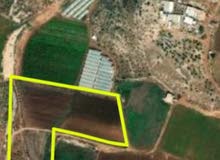 Farm Land for Sale in Tubas Other