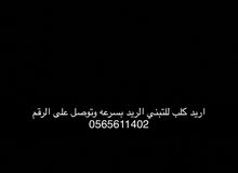 t1122334455 t1122334455