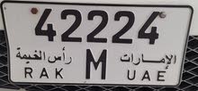 لوحة رقم مميز 42224 M لوحة رقم مميز 42224 M