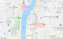 فرصة شقة للبيع بارقي مكان بالمنيل فرصة شقة للبيع بارقي مكان بالمنيل