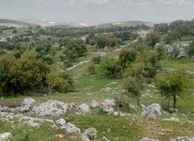 Mixed Use Land for Sale in Ajloun Other