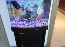 Aquarium Aquarium