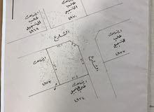 للبيع ارض في سند للبيع ارض في سند