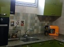شقة الحدائق عمارات ارض لملوم بناء حديث شقة الحدائق عمارات ارض لملوم بناء حديث