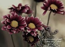 مندوب مبيعات مندوب مبيعات