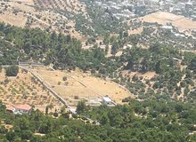 Farm Land for Sale in Jerash Borma