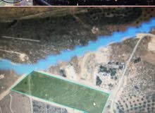 للبيع ارض 6867 م زراعي في بيرين تلعه حامد موقع مميز  من اراضي الزرقاء السعر لقطه